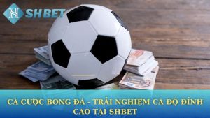 Cá Cược Bóng Đá - Trải Nghiệm Cá Độ Đỉnh Cao Tại Shbet