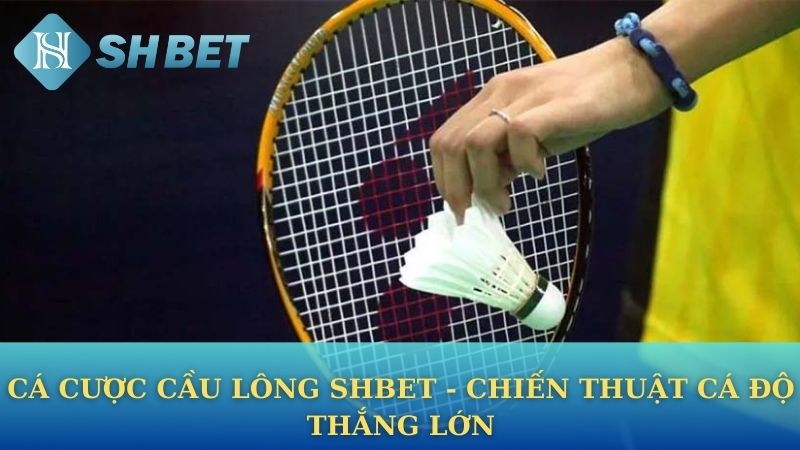 Cá Cược Cầu Lông Shbet - Chiến Thuật Cá Độ Thắng Lớn